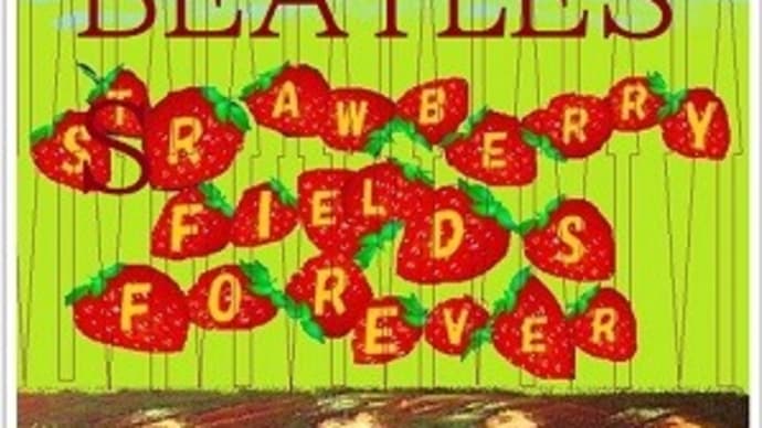 孤児院の庭 Strawberry Fields Forever
