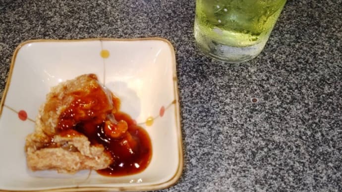 本日の晩酌23.6.11.