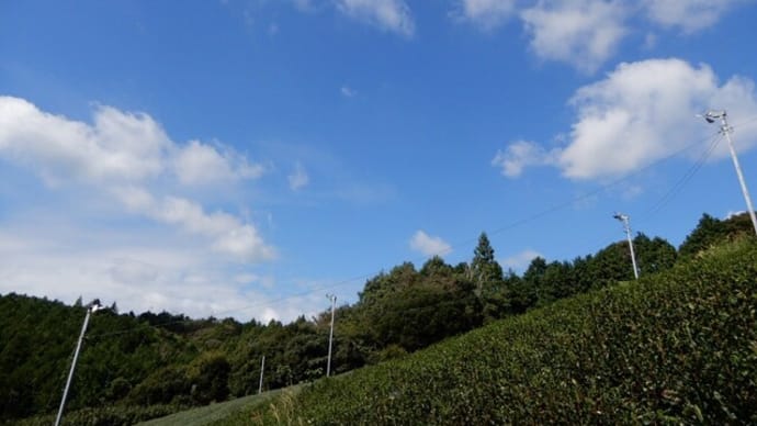 靴慣らし散歩 火剣山周辺 4