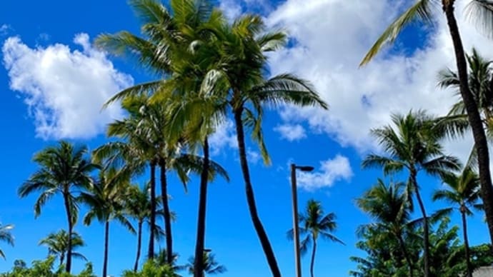 イミグレは大行列。(2023Hawaii その9)