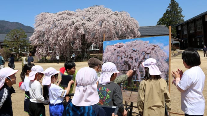 飯田市 旧山本中学校杵原校舎の桜 5