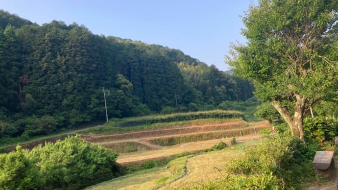 プチ同窓会2日目