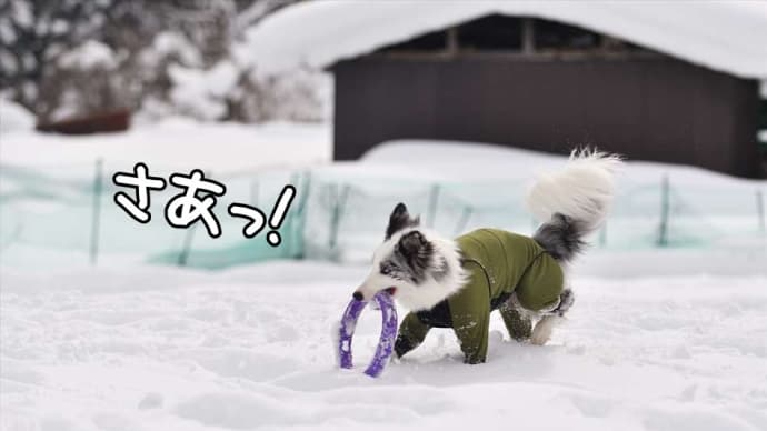 なに目指す?🤭