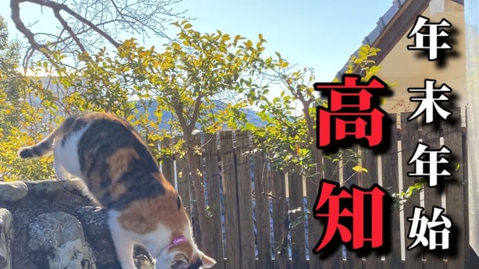 年末年始 高知旅行(11)