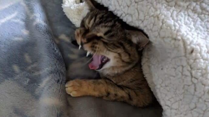 家族以上に…家族デス🤩