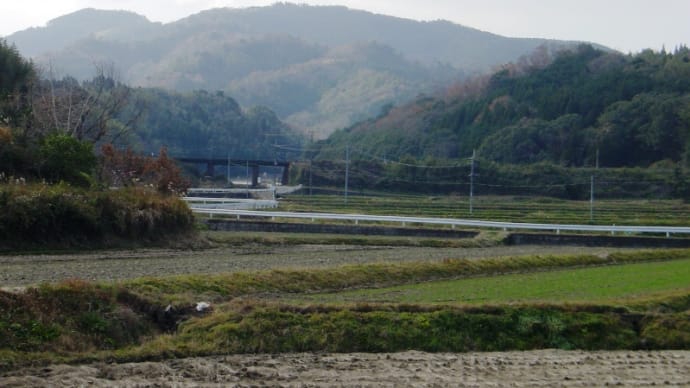 2004年12月26日、大分市大字竹中
