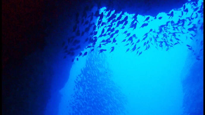 海中写真 和歌山古座
