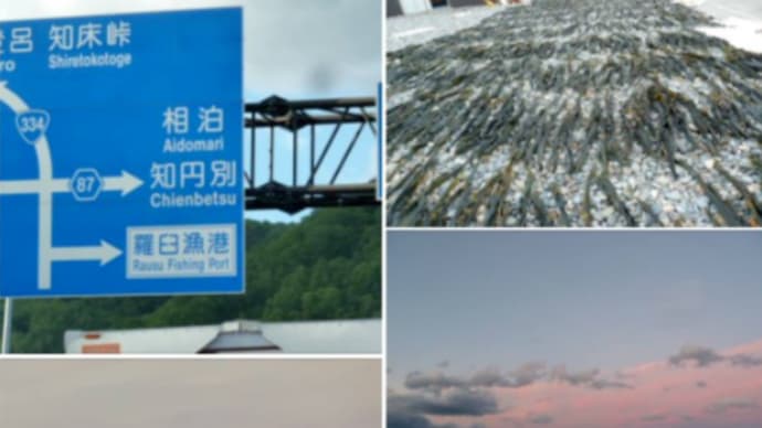 根室海峡の向こうには国後島 鴎と羅臼昆布の夕焼けの海岸 日の出の早朝風景にウットリ