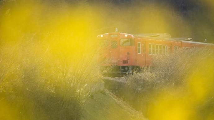116年の歴史は今も続く・・・、♬~未来に残したい吉備線のある風景ヾ(^v^)k