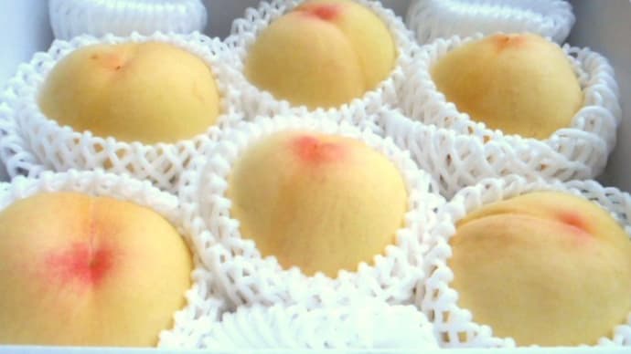 岡山特産の清水白桃。