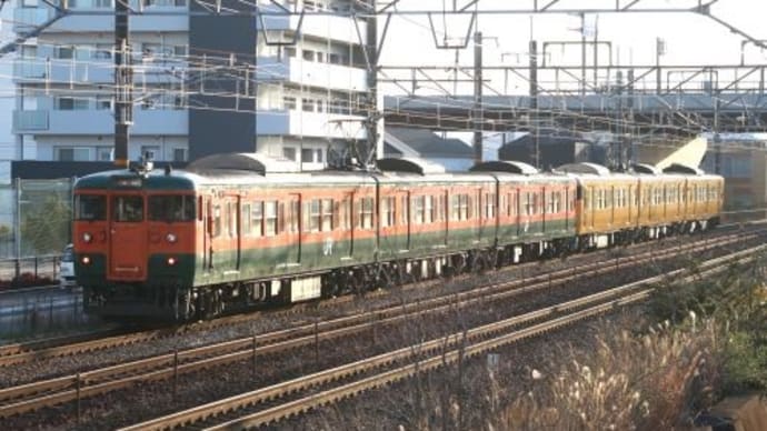岡山の列車（115系湘南色）