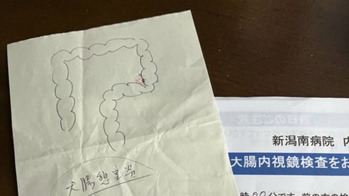 ほのぼの暮らし・大腸憩室炎は突然に