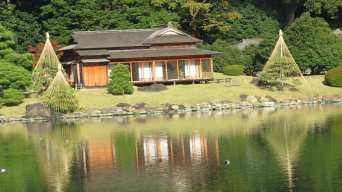 江戸時代に創設され歴代将軍に愛された由緒ある庭園!周囲の高層ビルに吃驚!