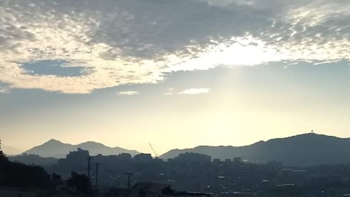 暑くて元気がでない