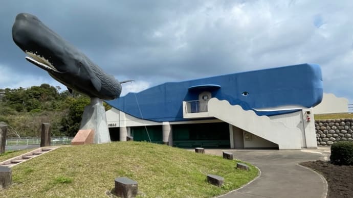熊本・鹿児島遠征 先輩の案内