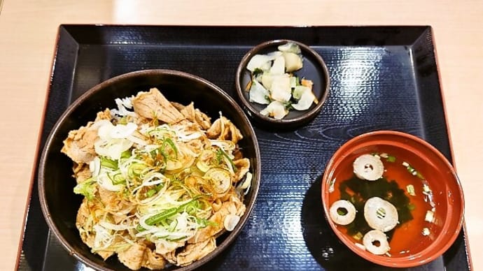 ゆで太郎(新川一丁目店)で薬味ねぎ豚丼(2024年12月6日)