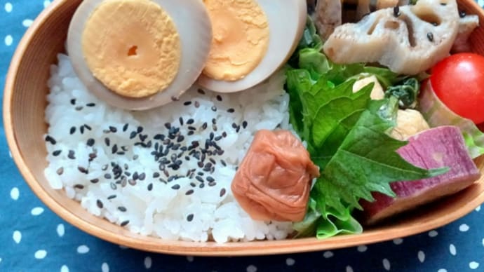 今日のお弁当 2024.11/17