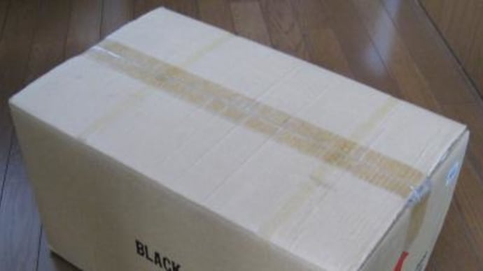 念願の一品