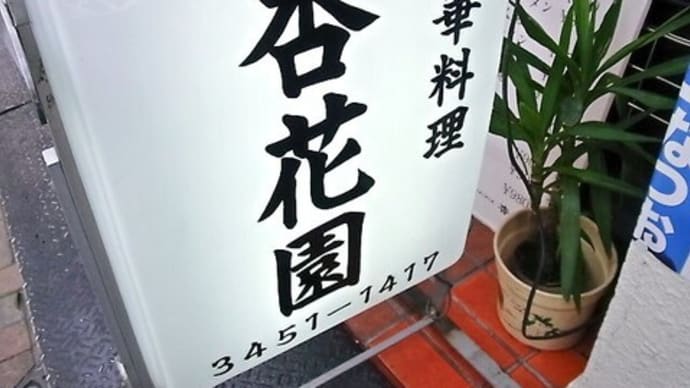 麻婆豆腐定食　杏花園
