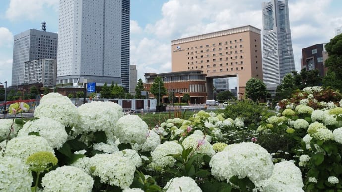 みなと横浜花風景　梅雨入り前