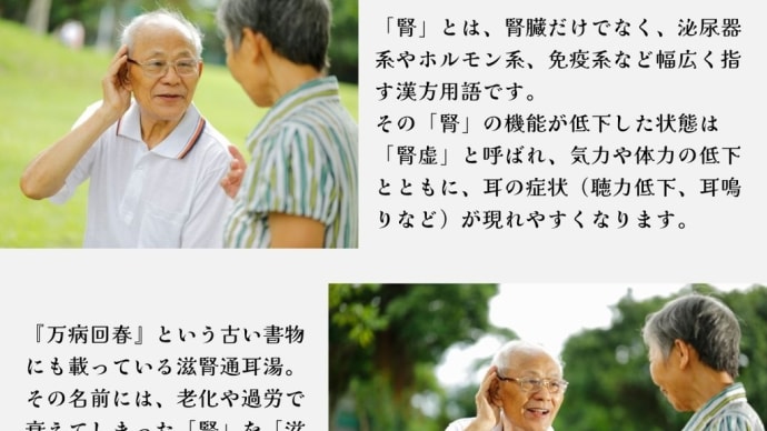 耳と腎