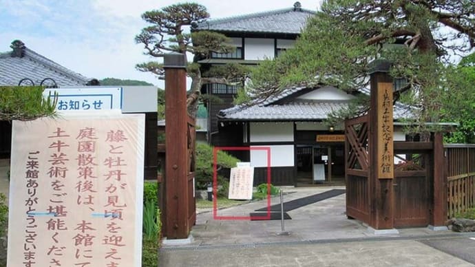 藤と牡丹　土牛記念美術館in佐久穂　ついでに苺