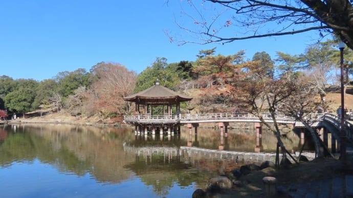 奈良公園で紅葉見物