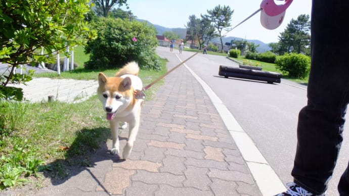 クリンを写真で偲んで・・214日目