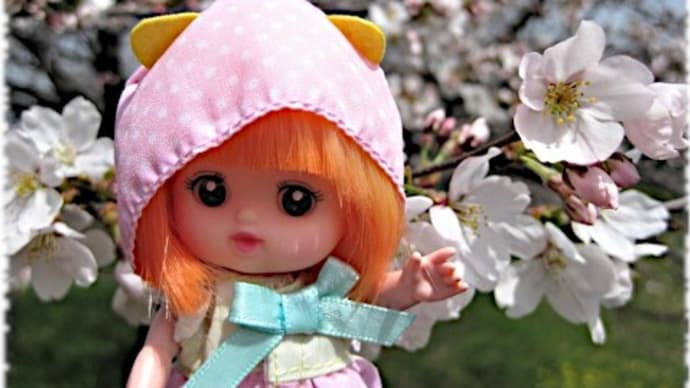 ポケメルちゃん&ネネちゃんとお花見