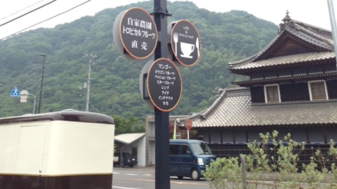 トロピカルフルーツランド アンファームへ