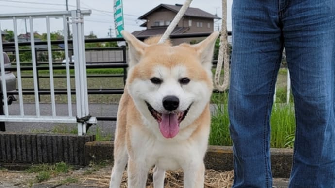 大輝くんが遊びに来ました☺️💖✨🙏✨