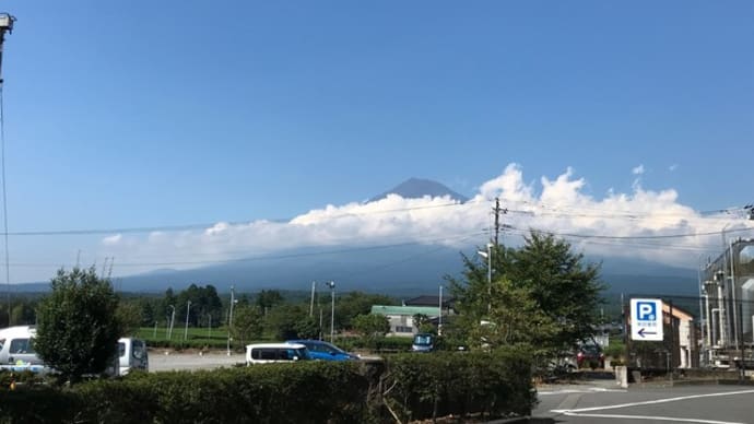 殺人的な暑さです