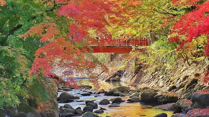 紅葉の静岡へバスツアー♪