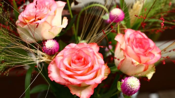 秋のお花たち