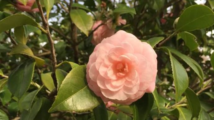 ☆くじら公園リニューアル☆