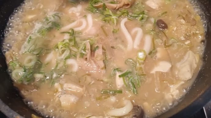味噌煮込みうどん