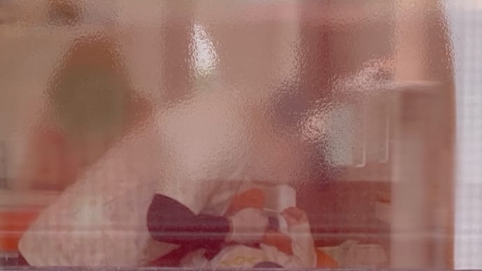 長男の歯医者!