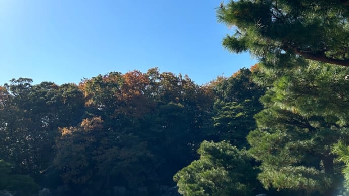 新しいスタートをきりました‼️part2