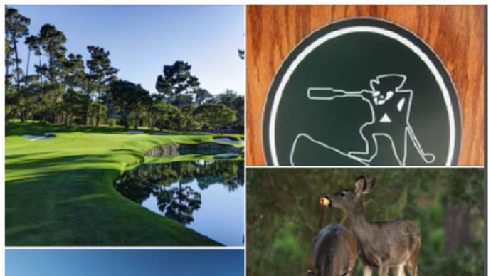 カリフォルニア州モントレー ペブルビーチ最難関コース スパイグラスヒルGC ⛳