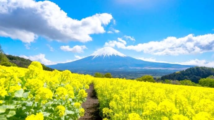 富士山は尊いねぇ〜