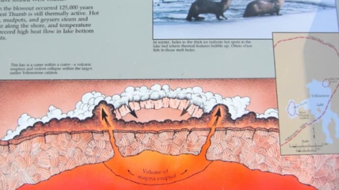 Yellowstone National Park(イエローストーン国立公園)East Area (東側) 100Mile ドライブ