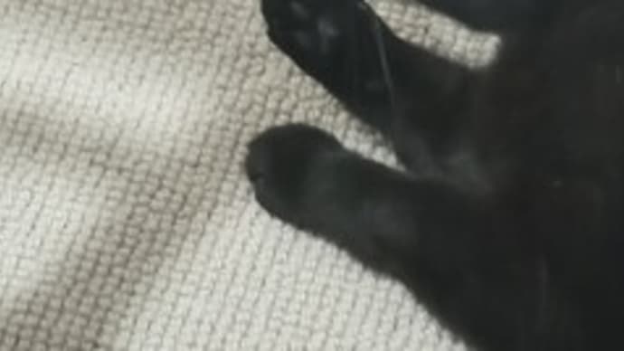 熱心な性格