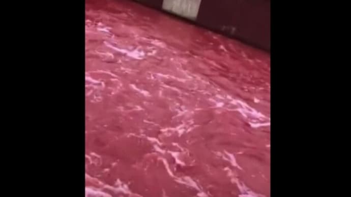 河の水が2キロに及び「血の赤 」に染まる=中国 四川省
