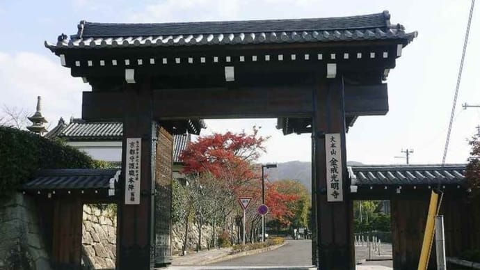 京都紅葉:金戒光明寺から真如堂!