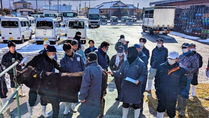 いしのまき和牛改良推進組合による計画交配産子調査研究会が開催されました