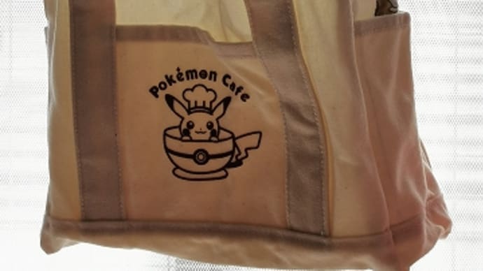 帆布バッグもオキシ漬け