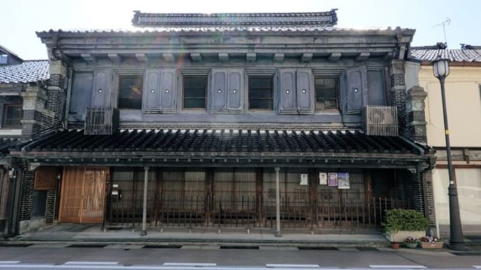 散歩写真 494