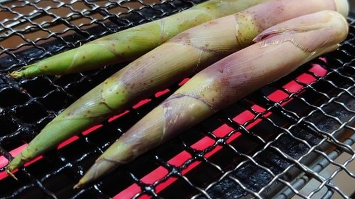 皮つきたけのこ・ずわいがに・活たこ・ミンクくじら