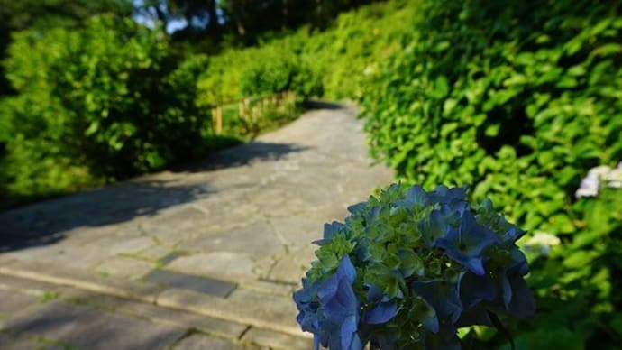 伊豆の宿 蓮台寺温泉 清流荘