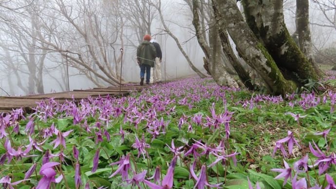 船通山登山